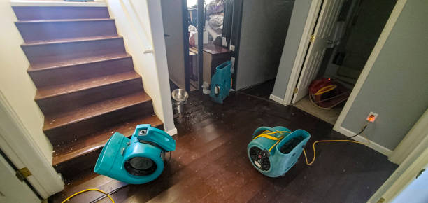 Best Commercial water damage restoration  in Mpo, CA