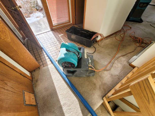 Fire Damage Restoration in Campo, CA