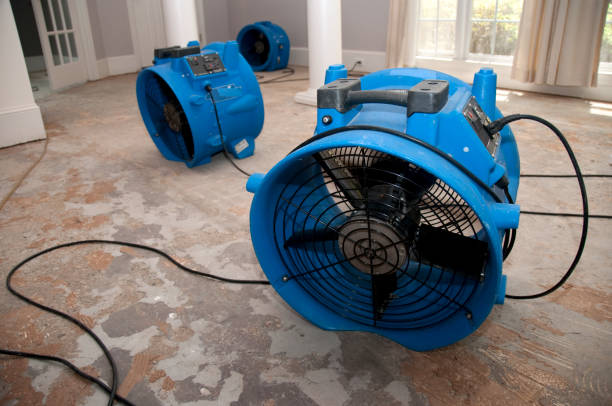 Best Water damage restoration near me  in Mpo, CA